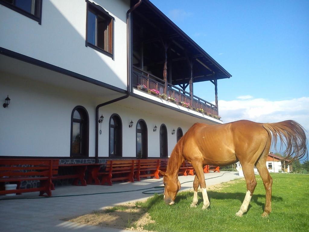 Rusaliite Adventure House Bachevo  المظهر الخارجي الصورة